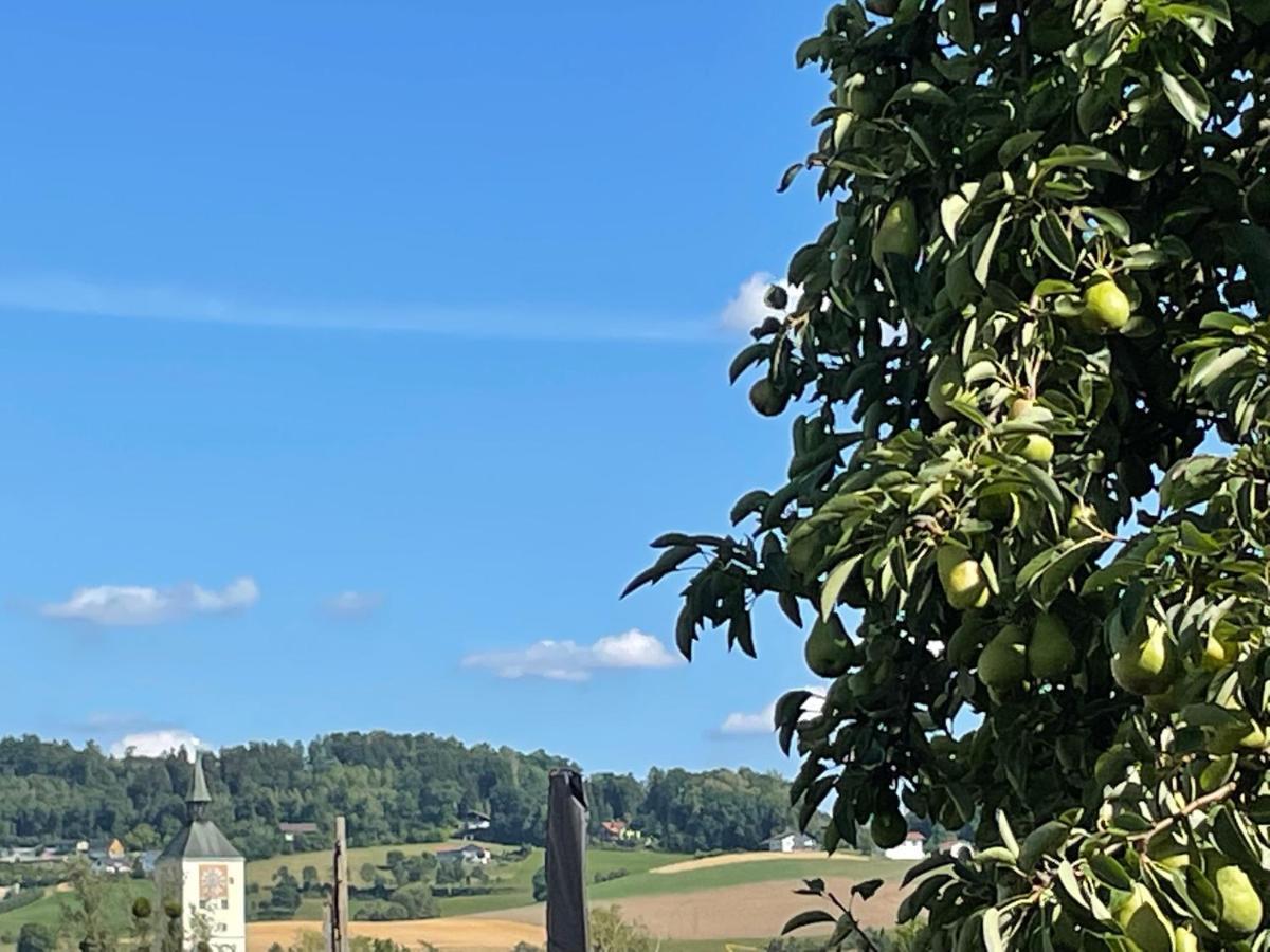 Schoene Ferienwohnung In Bahnhofsnaehe Fuer Urlaub, Studium Oder Arbeit Deggendorf Bagian luar foto