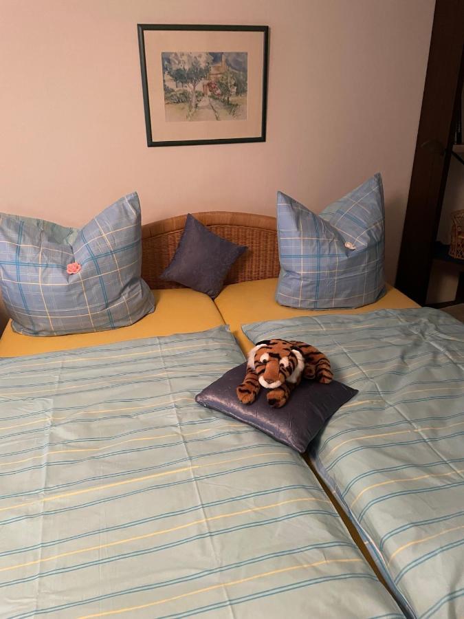 Schoene Ferienwohnung In Bahnhofsnaehe Fuer Urlaub, Studium Oder Arbeit Deggendorf Bagian luar foto